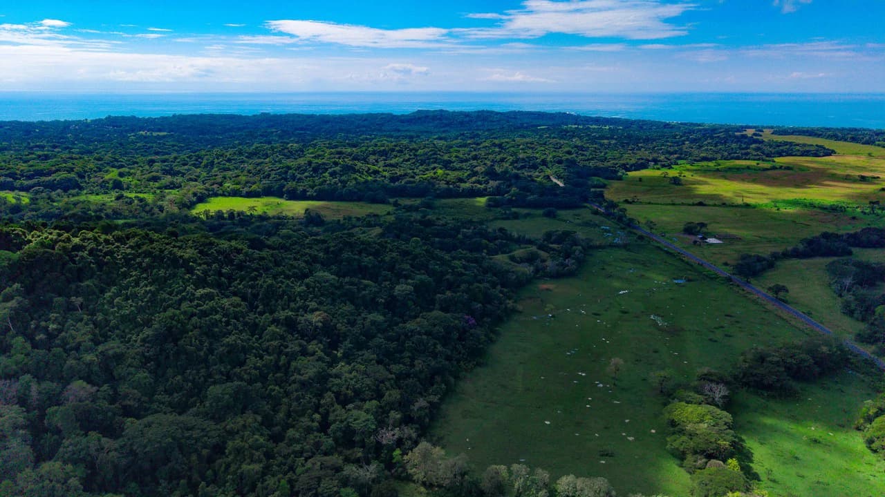 4,850 Acre Beachfront Legacy Ranch Esterillos Central Pacific Coast - photo 15