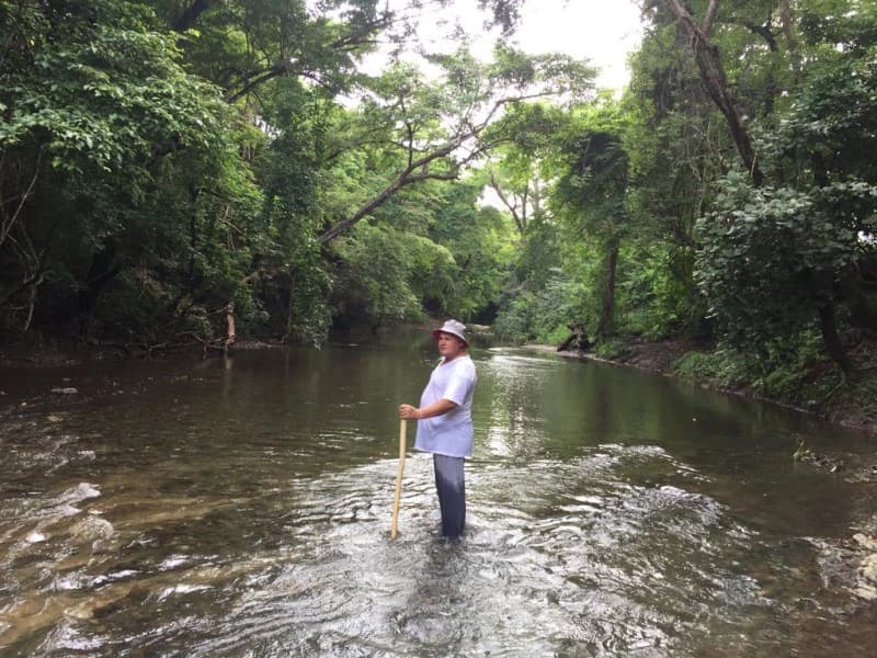 Farm in Nicoya. Reforestation. Cattle Raising. Recreation. - photo 8