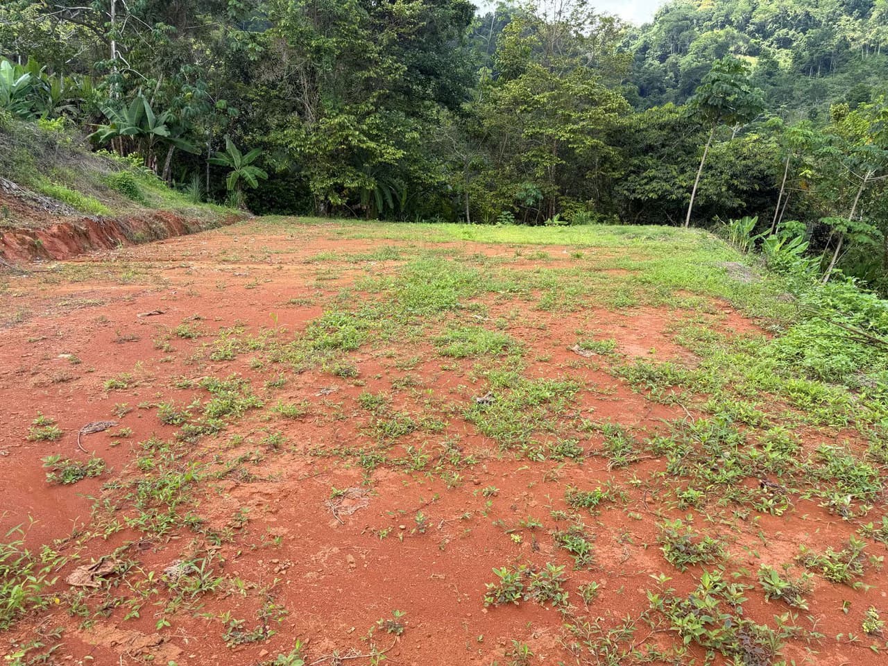 Near the Coast Home Construction Site For Sale in Pavon - photo 3