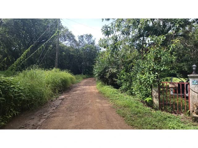 Dream Ranch for Sale with Houses and Horse Stable in Guanacaste – Great Investment Opportunity
