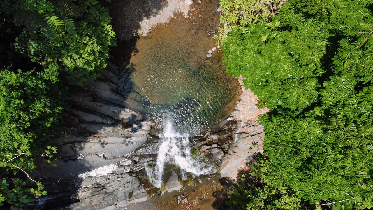 FINCA CERRO DEL TIGRE! OVER 20 ACRES OF PRIMARY FOREST AND WATERFALLS.: Mountain Agricultural Land For Sale in La Unión - photo 2