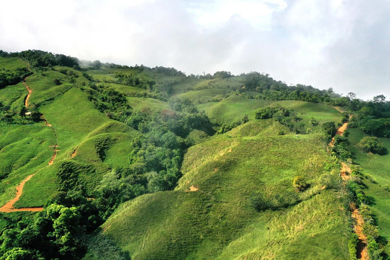150 Acre Cattle Ranch with Panoramic Views Above the mountains of Uvita - photo 8