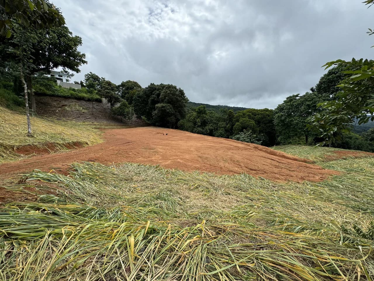 Playa Dominical Mountain Farming Property - photo 12