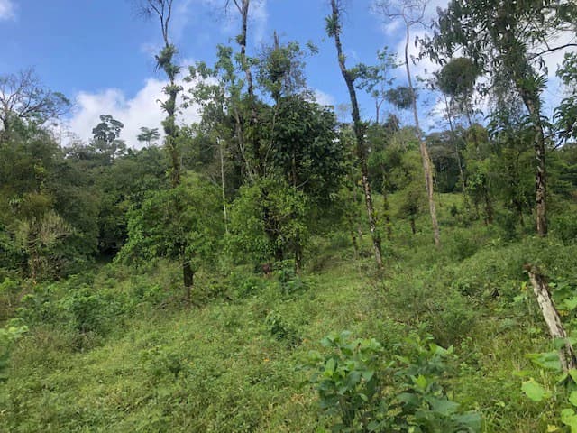 Hot and Cold Thermal Springs for Sale – Beautiful Property in Dos Ríos, Alajuela with Excellent Commercial Potential - photo 17
