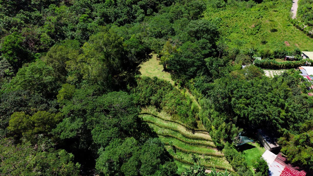 Riverfront Mushroom Farm & Private Waterfall Residence in Orosi - photo 75