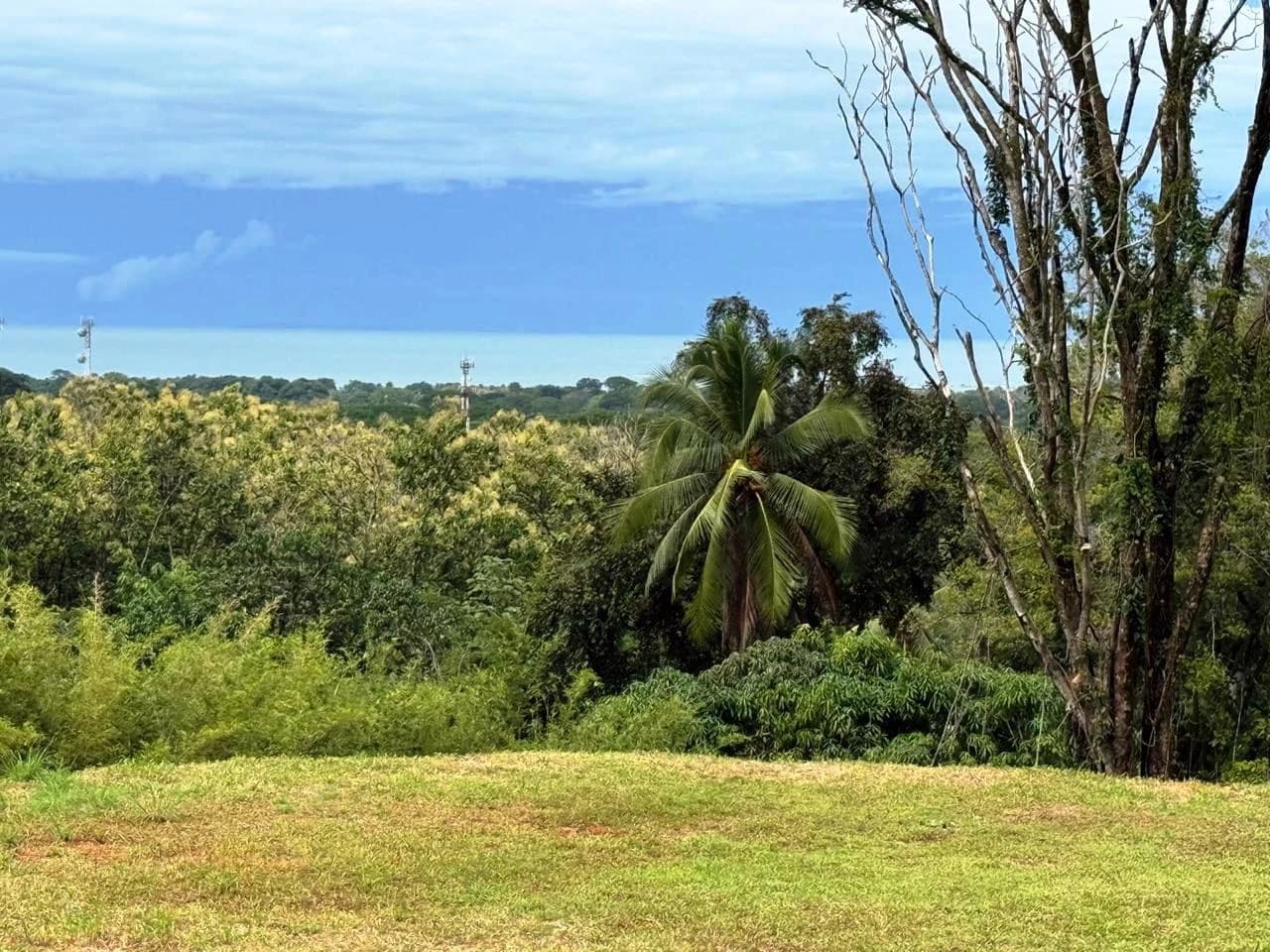 Prime Ocean View Development Property in Downtown Uvita - photo 15