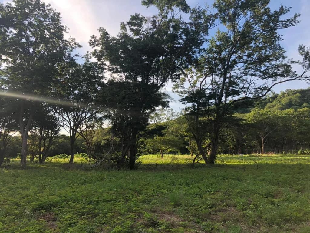 Large Commercial Property in Playa Hermosa, Guanacaste, Costa Rica - photo 8