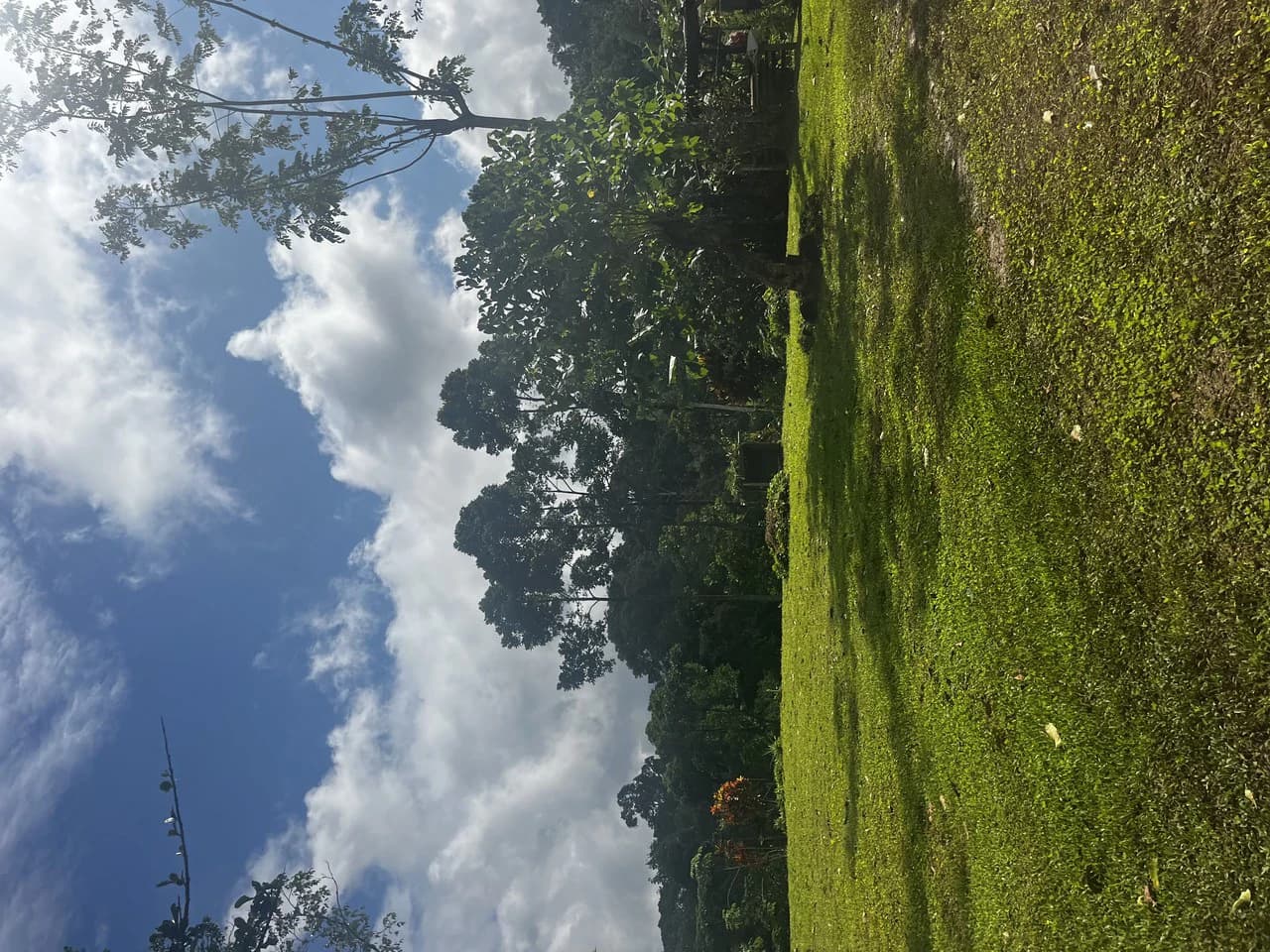 SPECTACULAR ECOLOGICAL MOUNTAIN FARM IN BIJAGUAL DE TURRUBARES - photo 29