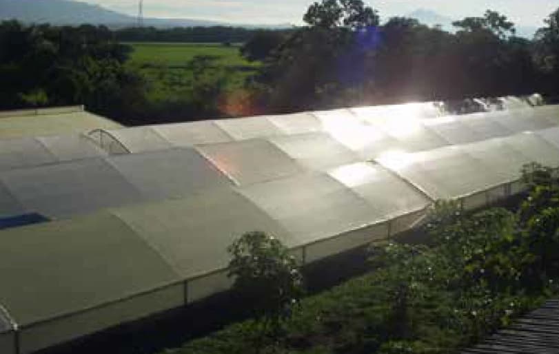 Spirulina Farm for Sale in Liberia, Guanacaste – Productive, Sustainable Business Ready to Generate Income - photo 5
