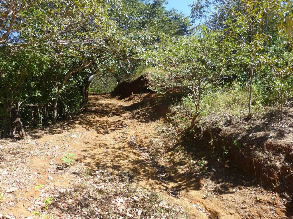Ocean view farm for sale in the mountains of San Juanillo - photo 25