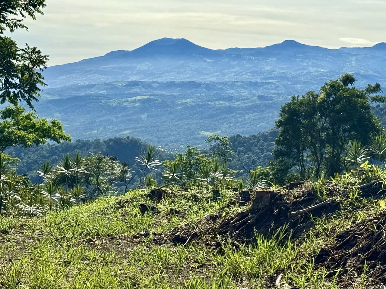 13.81-ACRE COSTA RICA MOUNTAIN PROPERTY | PANORAMIC SUNRISE-TO-SUNSET VIEWS + ELECTRICITY & PRIVATE WELL | NEAR LA FORTUNA — $195,000 - photo 2