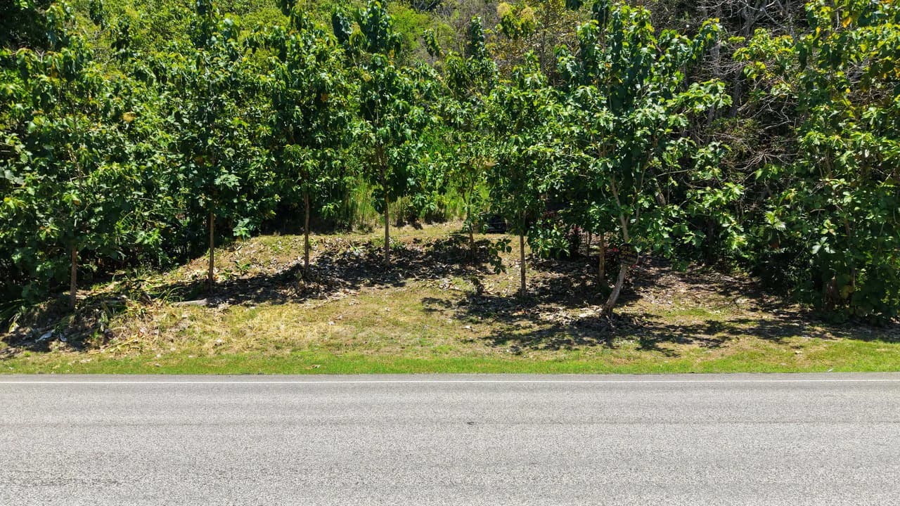 Near the Coast Home Construction Site For Sale in Ciudad Cortés - photo 16