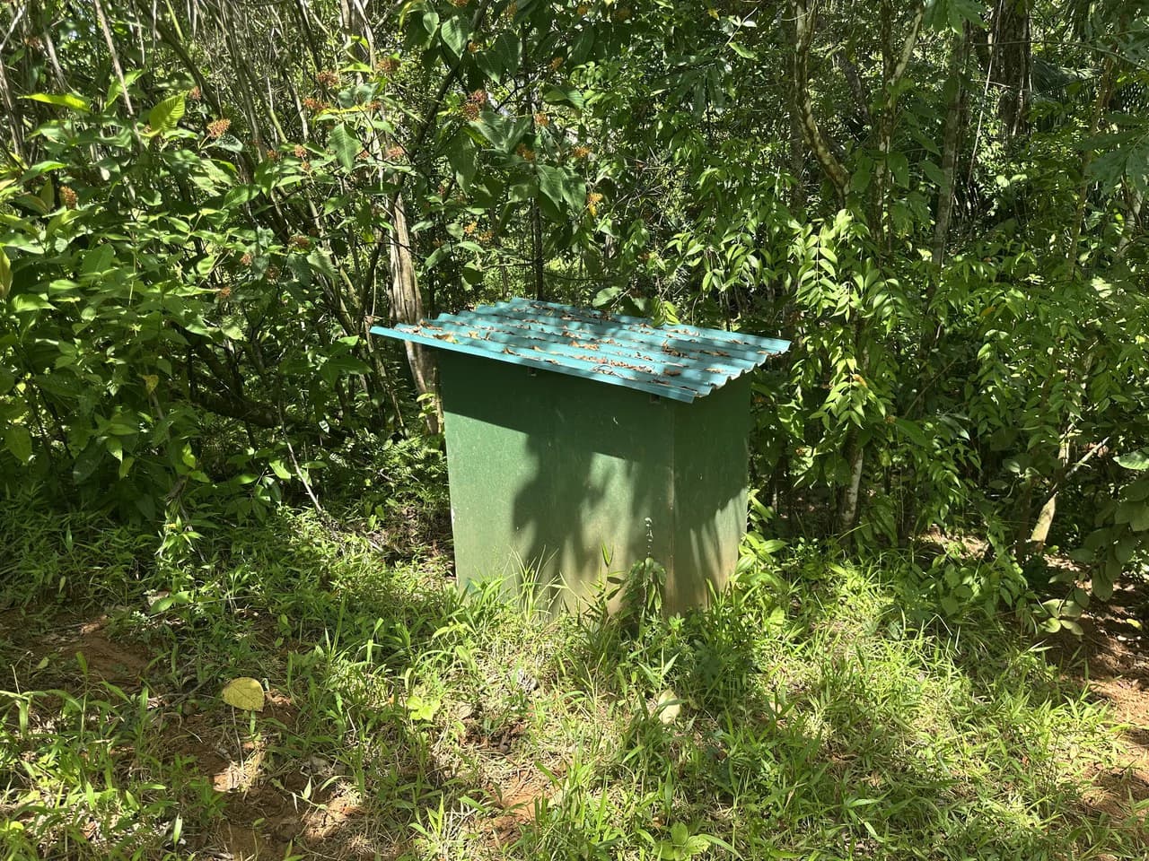 8.78 Acres Mountain View Estate with Water, Infrastructure & Endless Development Potential | Platanillo de Barú, Costa Rica - photo 12