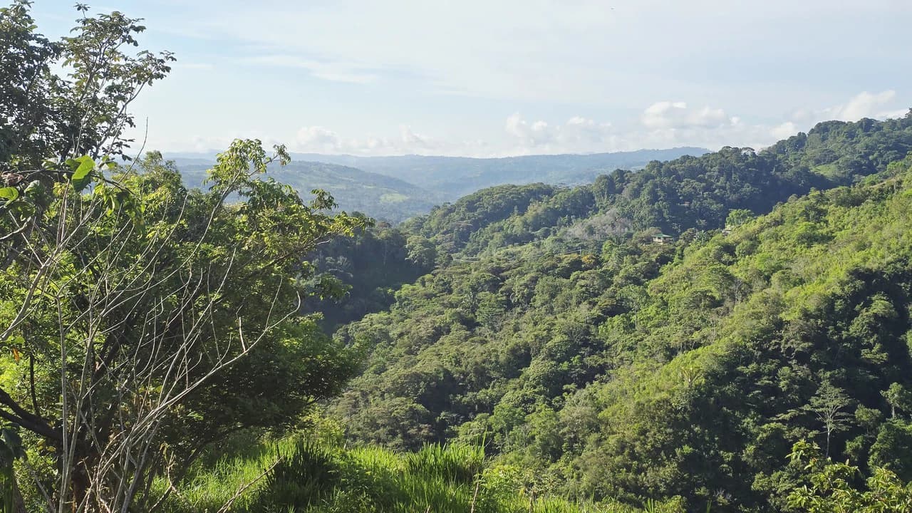 Mountain Agricultural Land For Sale in San Isidro del General - photo 5