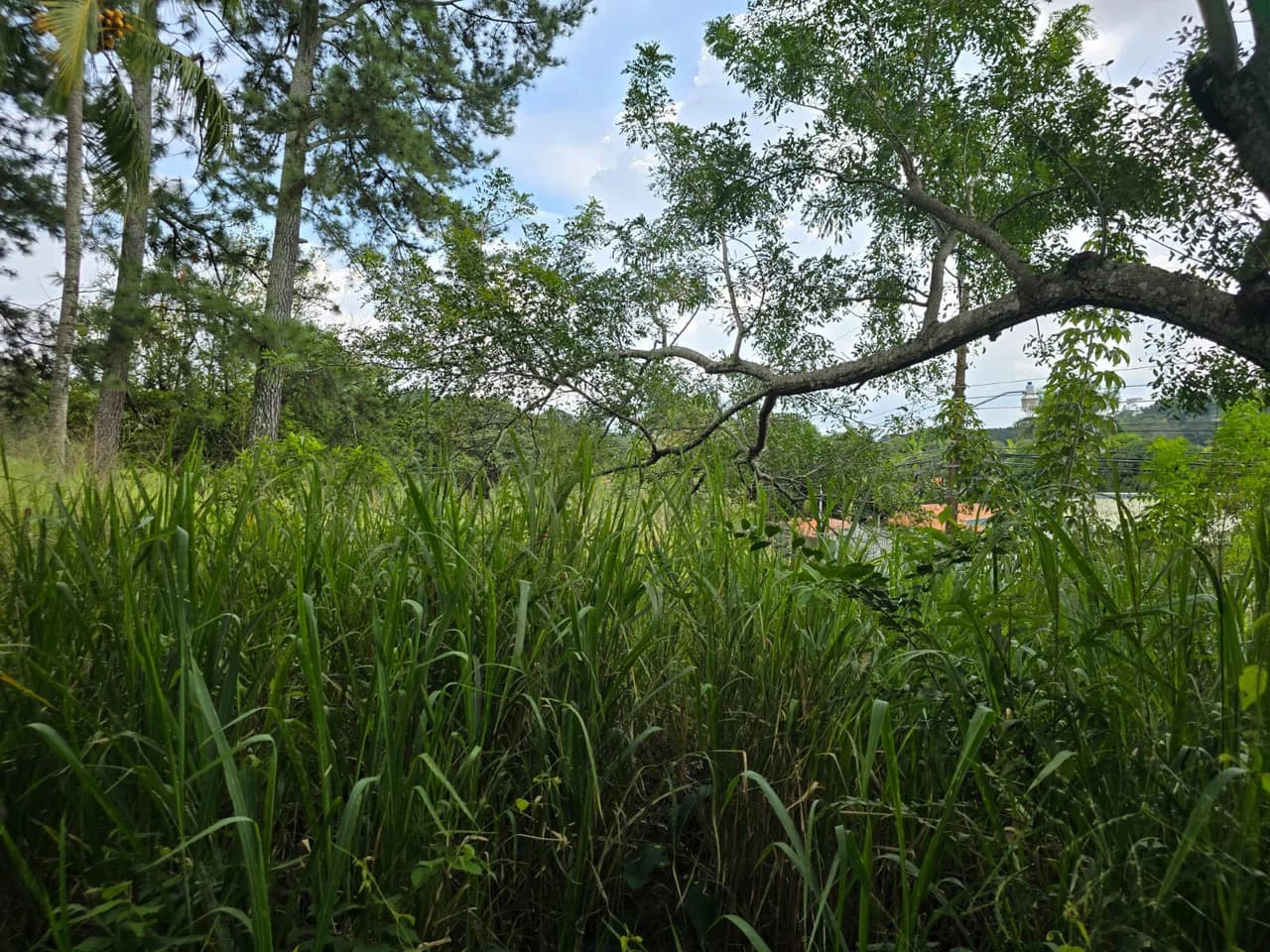 Land for sale in Residencial Montisel - photo 2