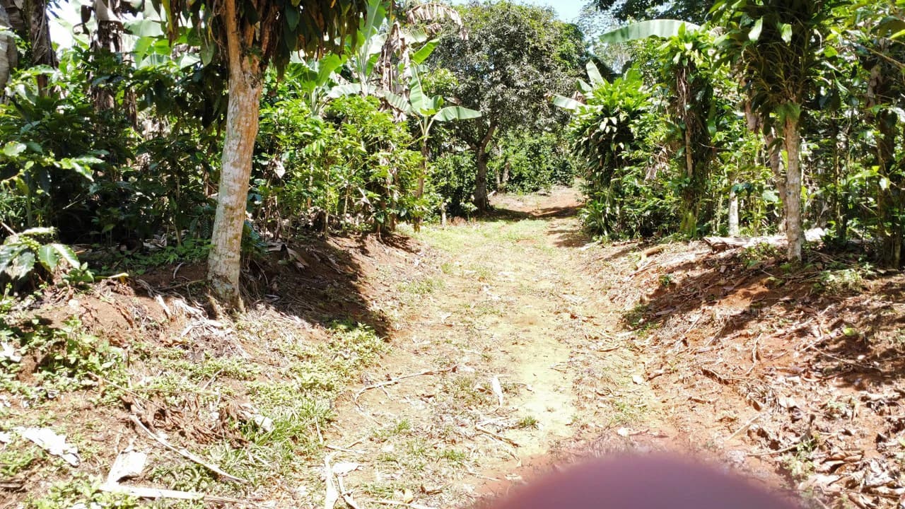 Propiedad en San Rafael de Platanares, Costa Rica: Mountain Home Construction Site For Sale in San Rafael - photo 4