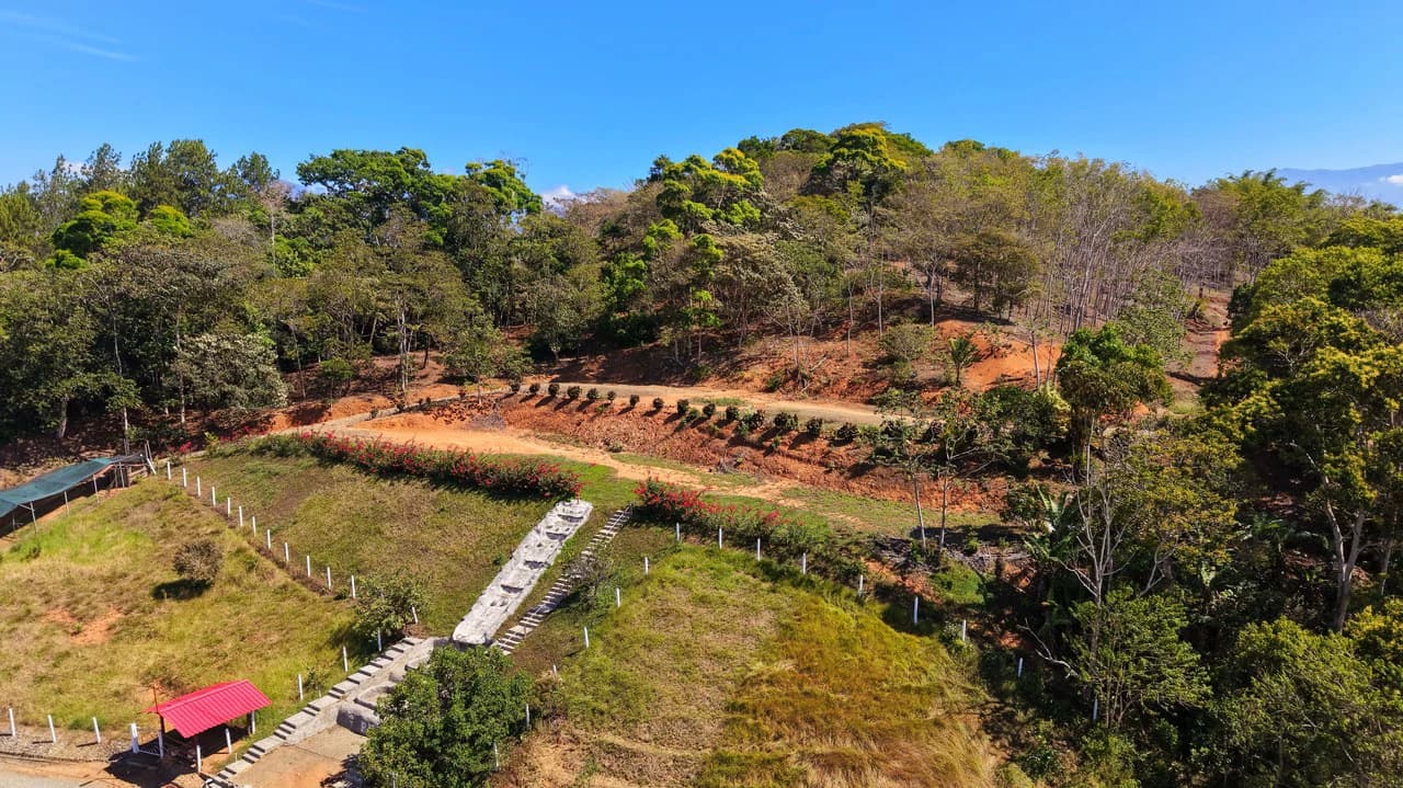 Agricultural Land For Sale in Daniel Flores - photo 3