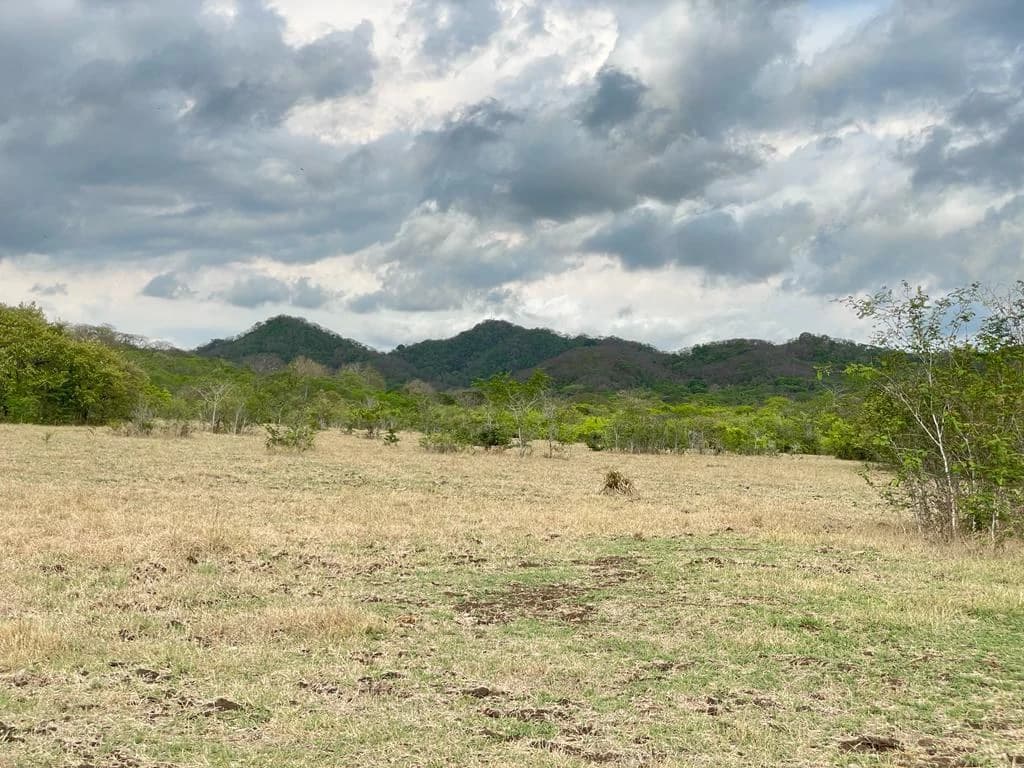 Farm for Sale to Develop Guanacaste Costa Rica - photo 7