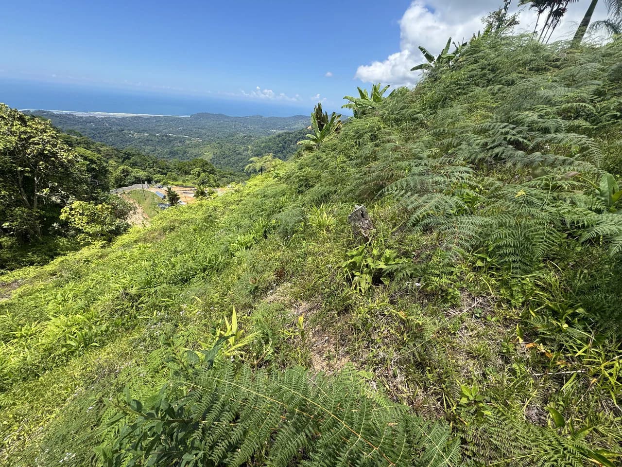 Ocean View Homesite with Panoramic Coastline Vistas in Ojochal - photo 2