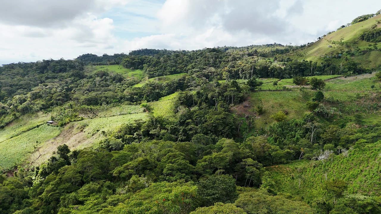 Mountain Agricultural Land For Sale in San Isidro del General - photo 8