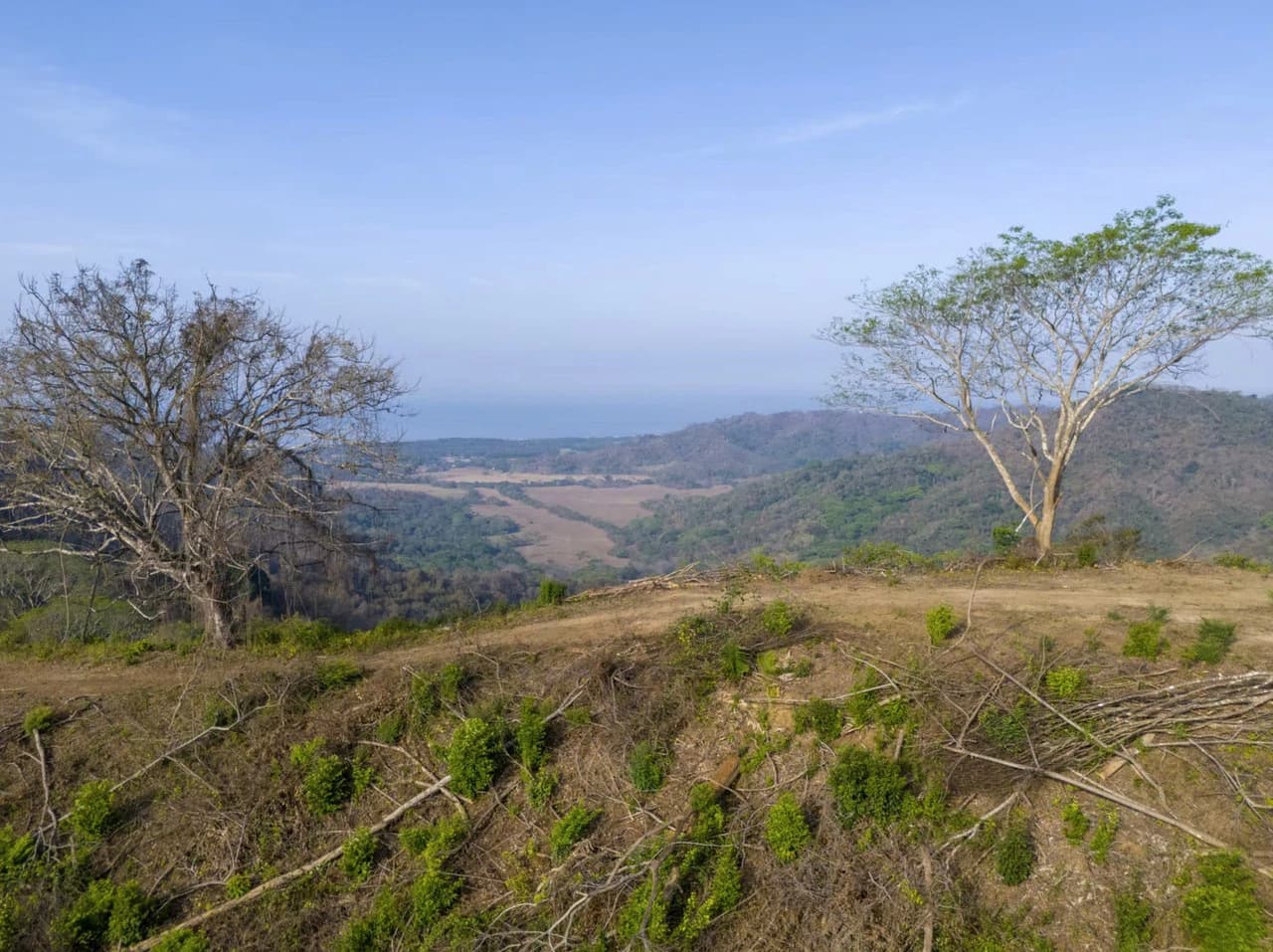 Ocean view property for sale Bejuco Nandayure Guanacaste Costa Rica - photo 3