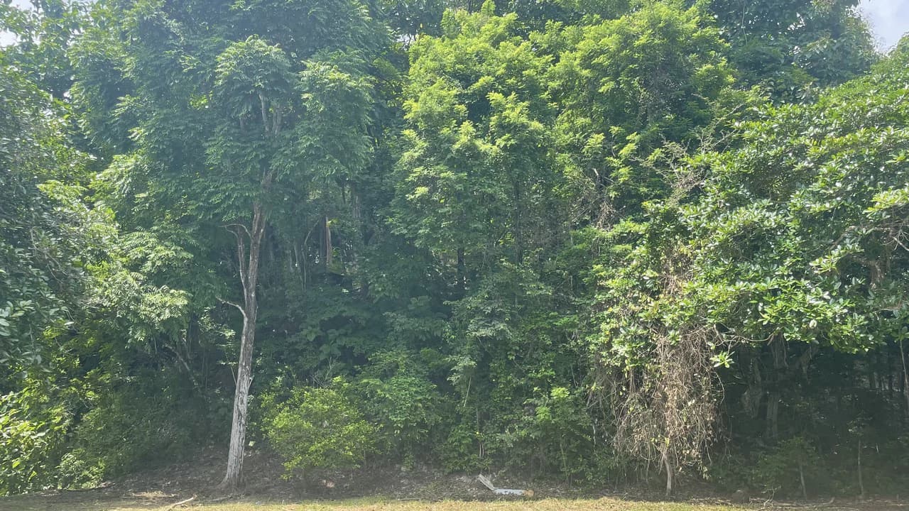Lote playa Pita Puntarenas: Your Opportunity on Costa Rica’s Central Pacific Coast - photo 13