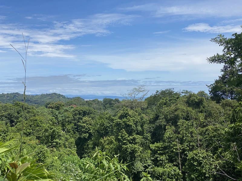 Exquisite Jungle property with Ocean View | Gated Community in Ojochal