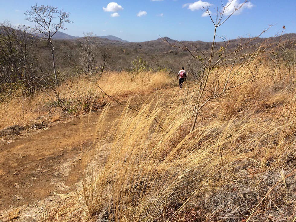 Ocean view property in the area of Guanacaste, great commercial opportunity near the Hotel Riu - photo 16