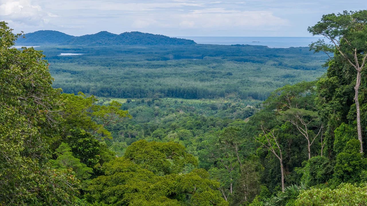 Costa Rican Gem with Conservation Potential: Preserve 26 Acres of Pristine Land - photo 22