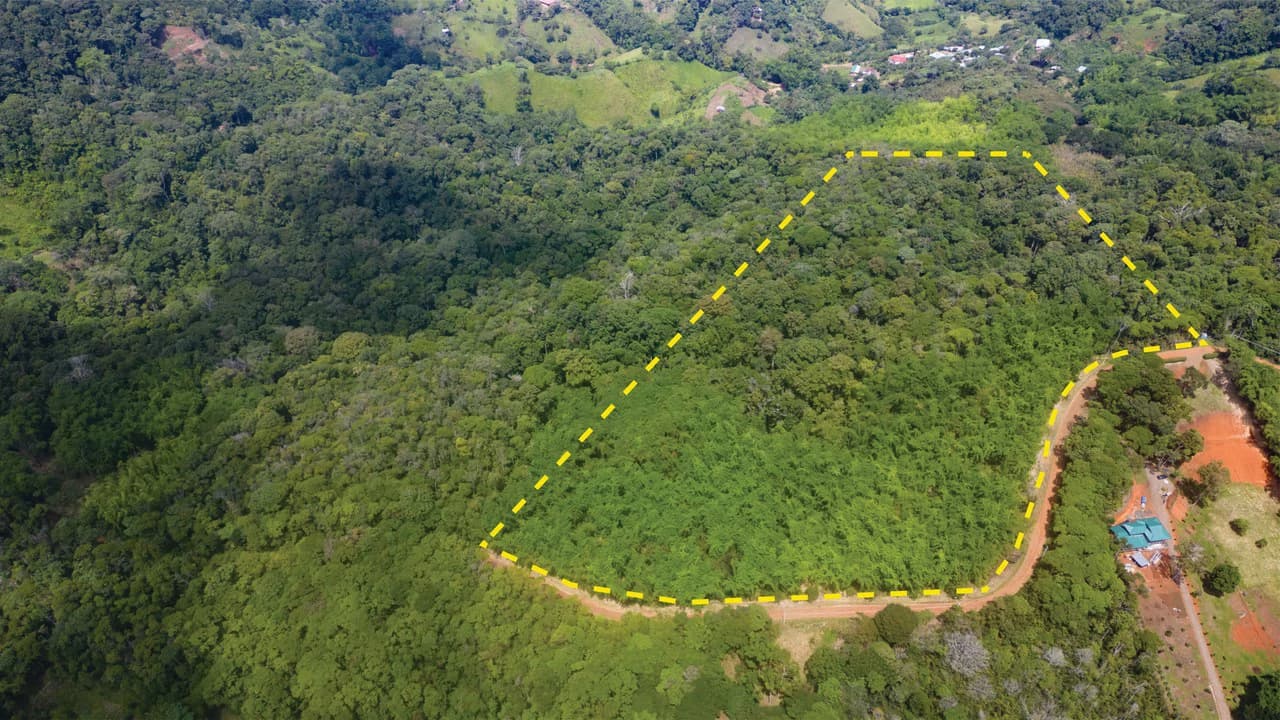 Property #2 with Bamboo Plantation, Development Opportunity (Residential, Hotel, and Industrial).