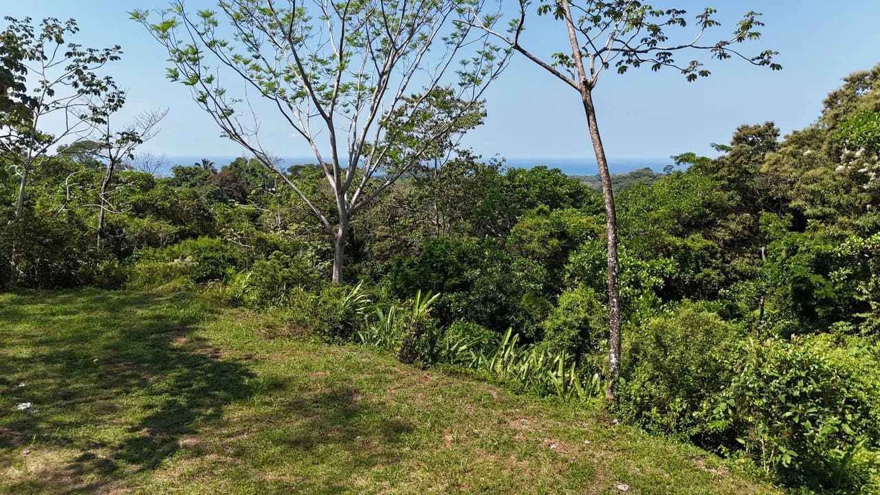 Exceptional Development Opportunity 71 acre Riverfront & Ocean View in Hatillo - photo 21