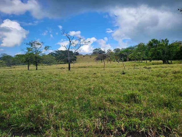 Charming property for sale in Nueva Guatemala with stunning views of the Tenorio Volcano and the beautiful green valleys - photo 10