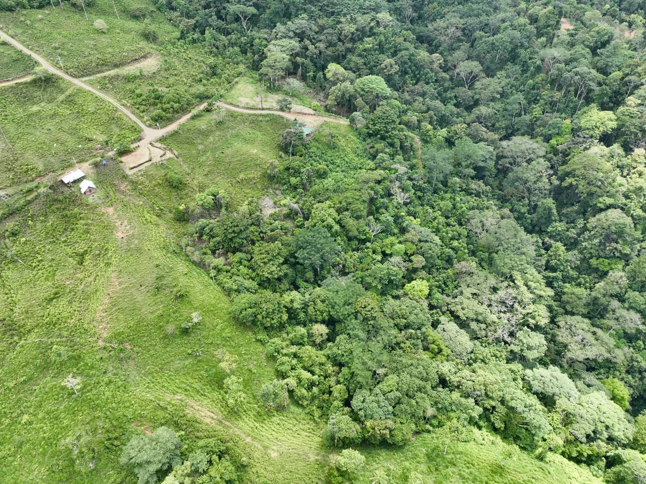 Spring and Waterfall! 3,2 Acres lot in Uvita Mountains - photo 9