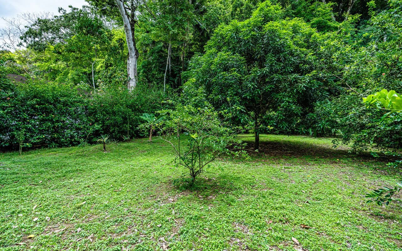 Baru Riverfront Oasis Walkable to Dominical Beaches - photo 57