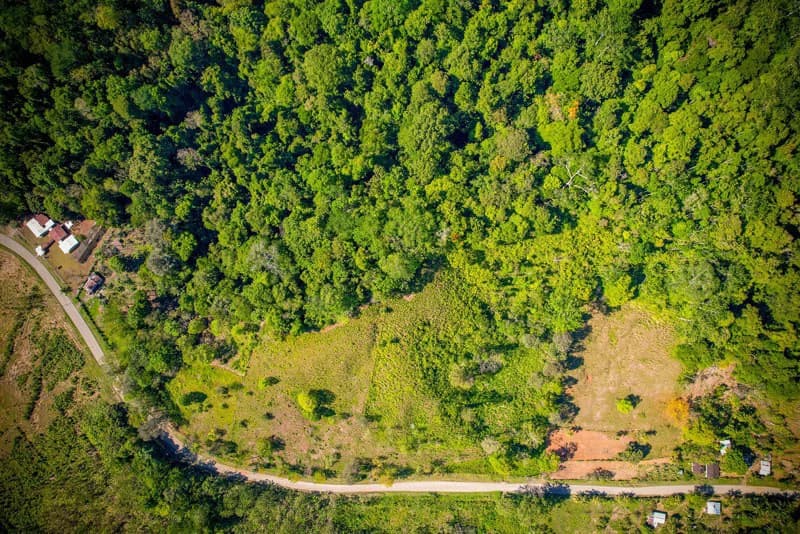 Ocean View & Primary forest 55-ha Rincon de Osa - photo 33