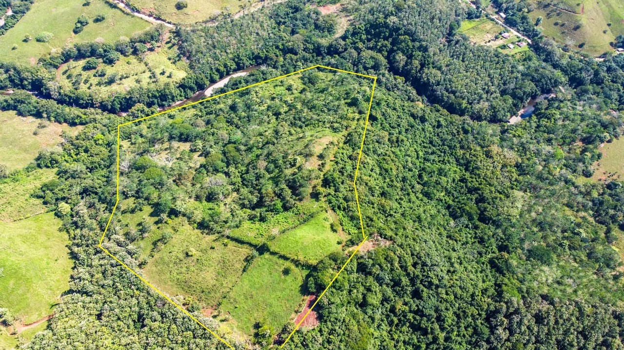 35 Acre Finca - A Natures Lover Or Developers Dream With Stunning Views - photo 1