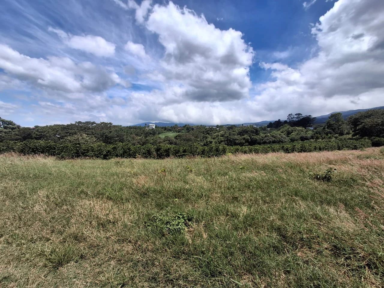 Flat Development Parcel: 4 ha Prime Flat Land - photo 12