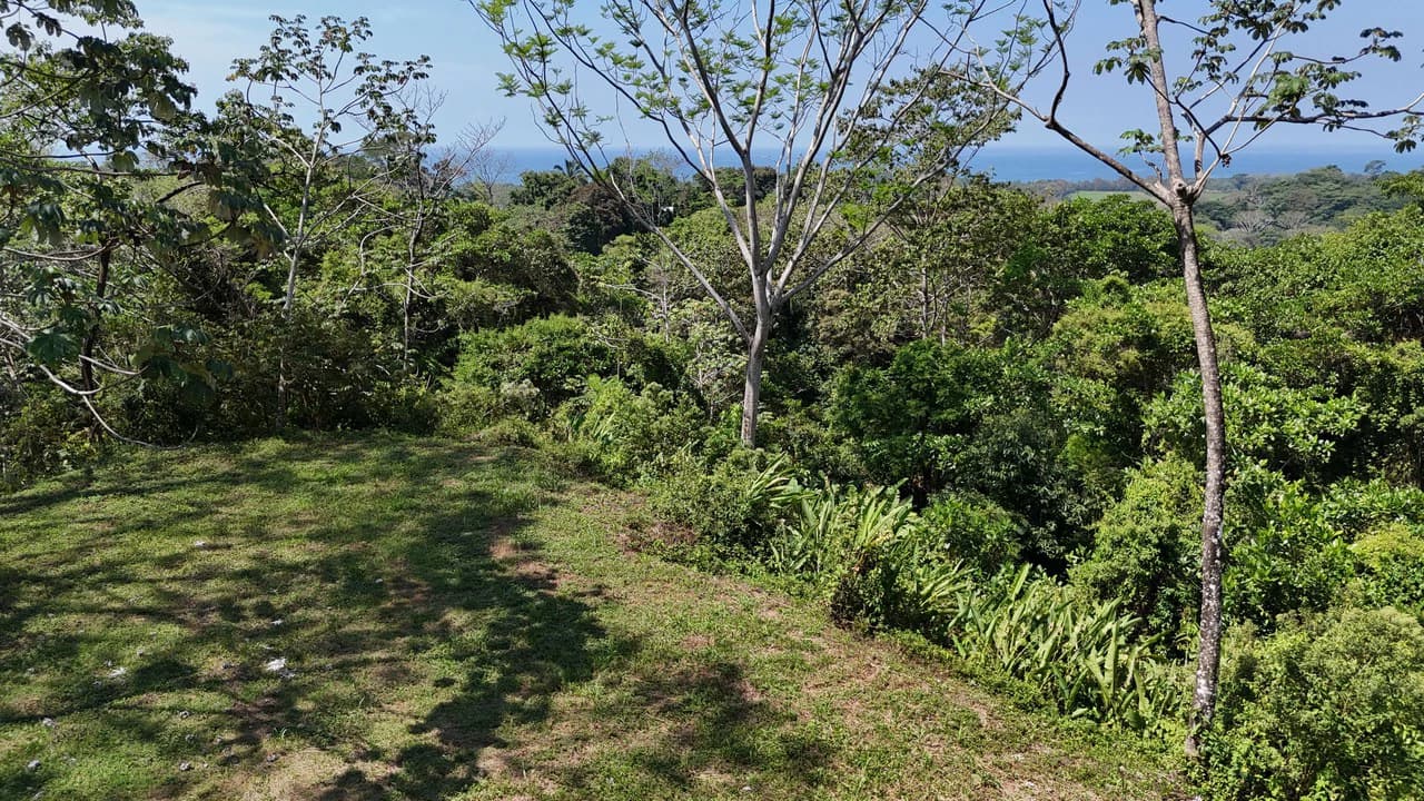Exceptional Development Opportunity 71 acre Riverfront & Ocean View in Hatillo - photo 20