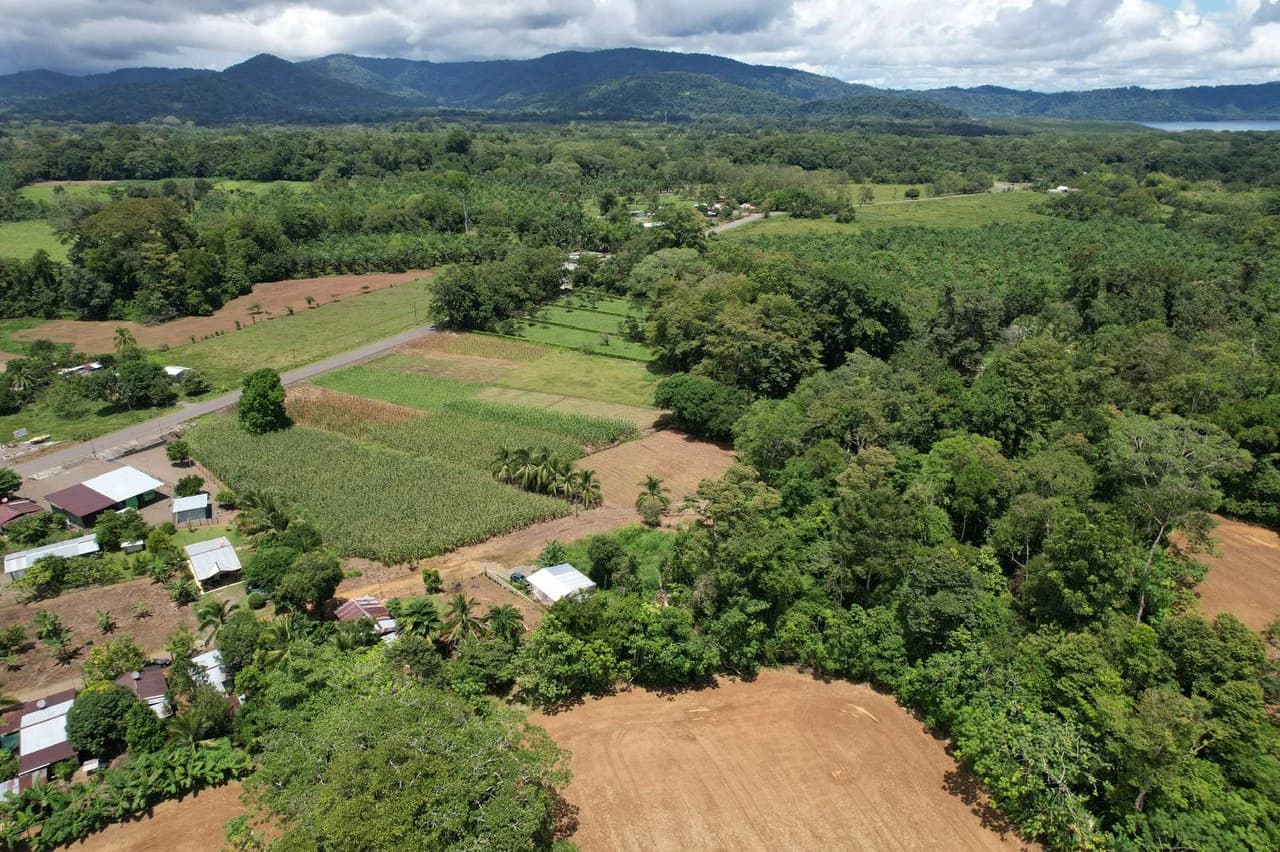 Finca La Palma, Puerto Jimenez: Excellent location ideal for development - photo 10
