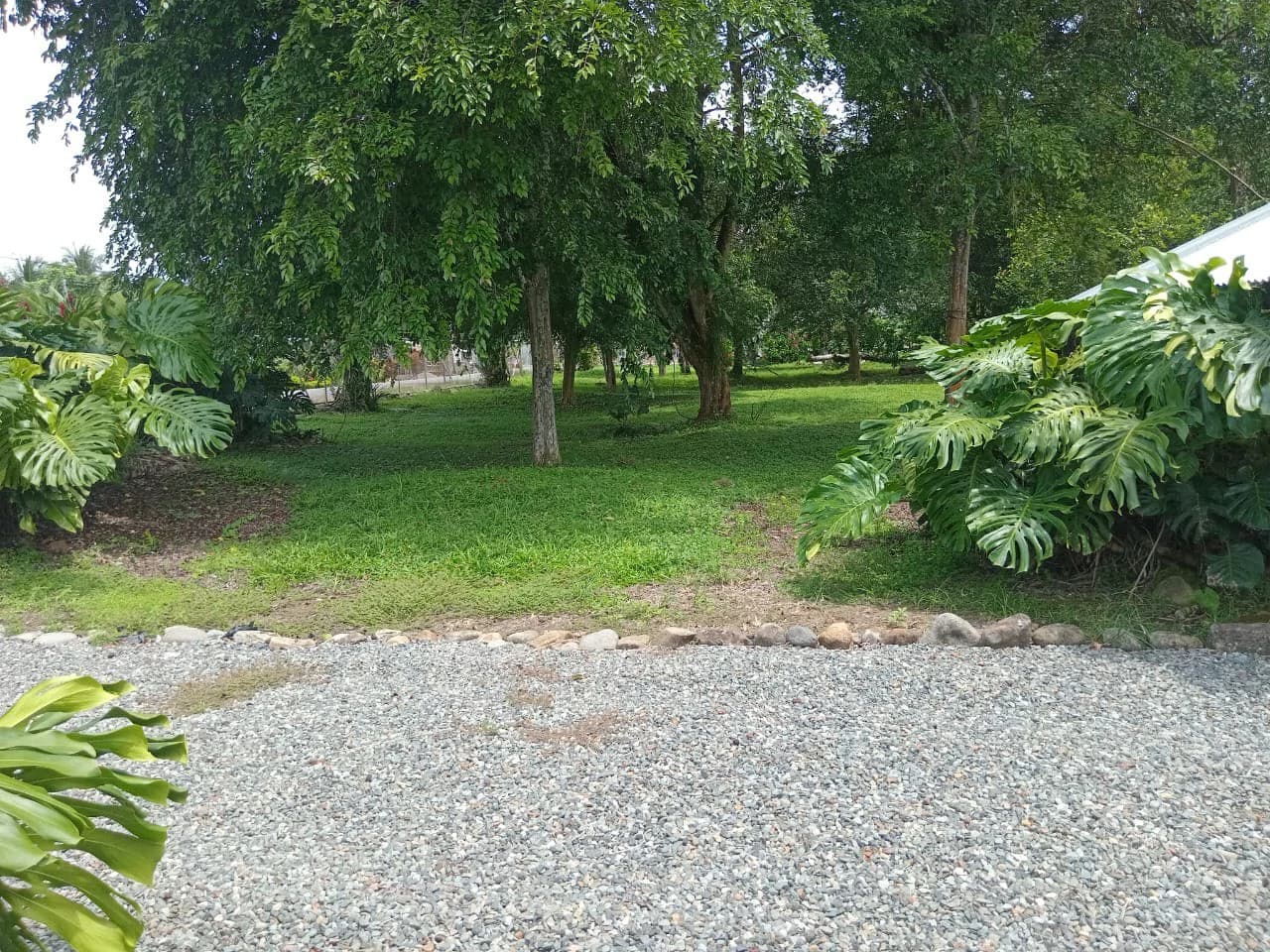 Farm home in Blanco: Ideal retirement farm at the foot of the rainforest - photo 7