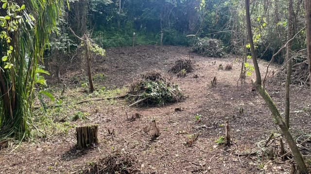 Beautiful Property for Sale in the Mountains of San Juanillo – Prime Land with Building Potential Just 10 Minutes from the Ocean