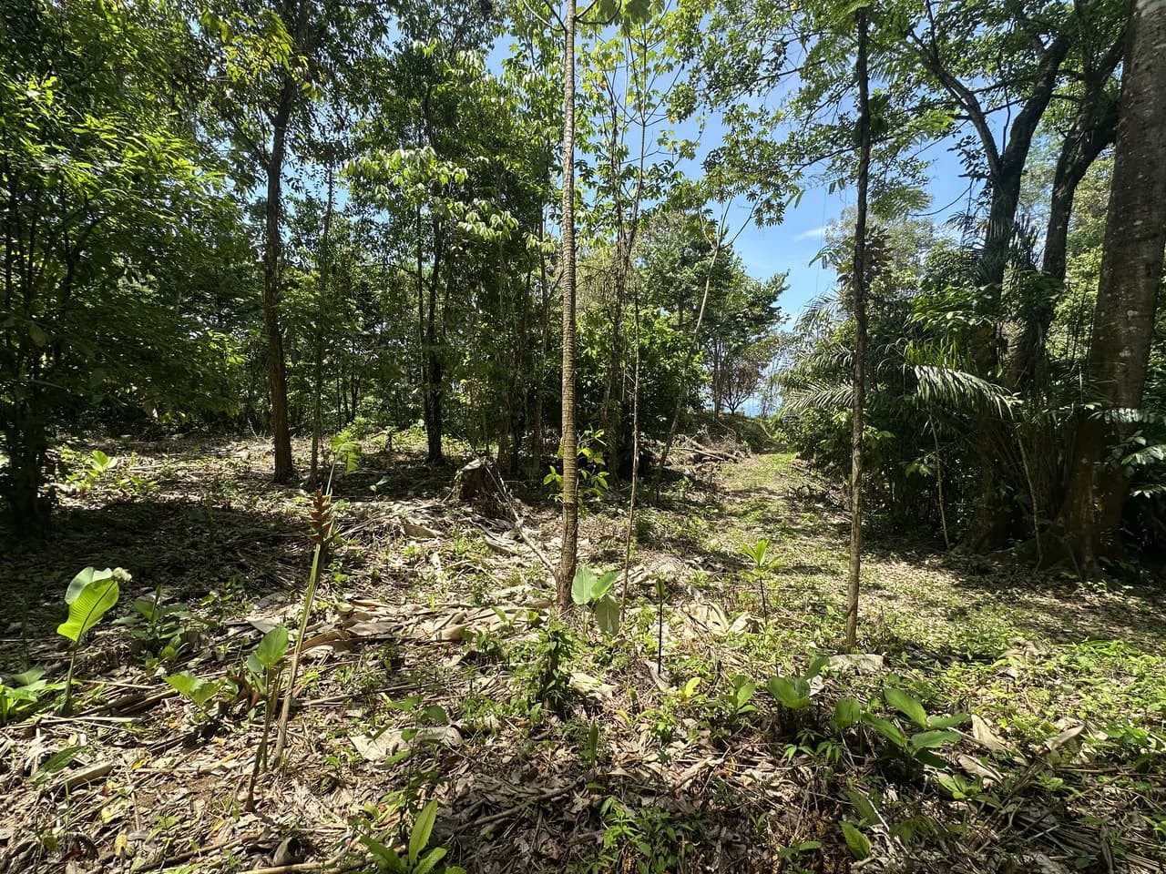 Ocean View Estate Lot with Private Waterfall – Uvita - photo 17