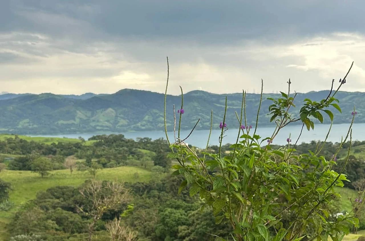 THE HOMESTEAD - Off-Grid Eco-Paradise for Sale in Nuevo Arenal, Costa Rica. - photo 3