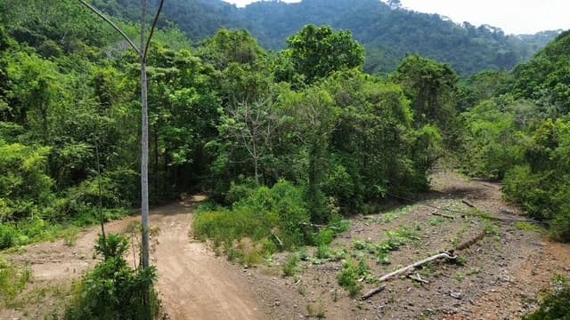 Finca Herradura, Frente a Los Sueños: Development Land Herradura - photo 2