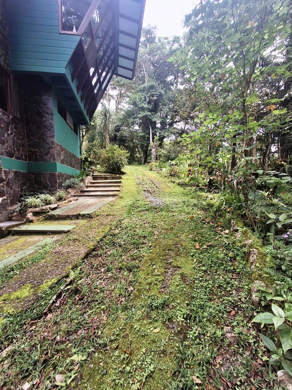 Casa Monte Verde: A LUXURY RAINFOREST HOME - photo 38