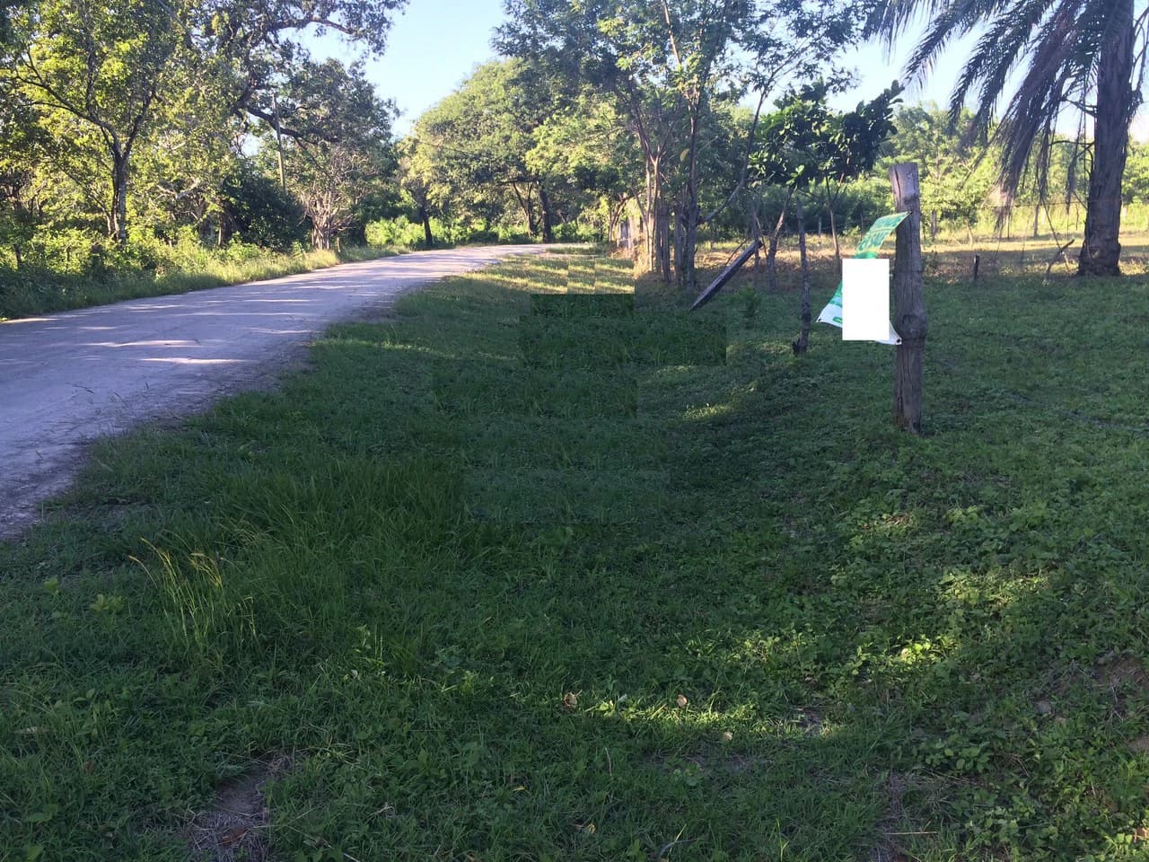 Precioso lote en Barrio La Cruz, Liberia: Building Lot for Sale in La Cruz – Flat Land Surrounded by Nature in a Peaceful Neighborhood - photo 4