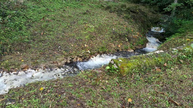 Hot and Cold Thermal Springs for Sale – Beautiful Property in Dos Ríos, Alajuela with Excellent Commercial Potential - photo 91