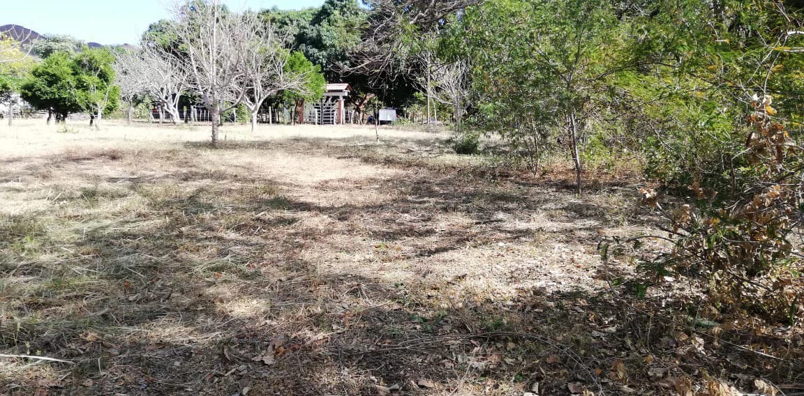 Property in Coco Beach - photo 14