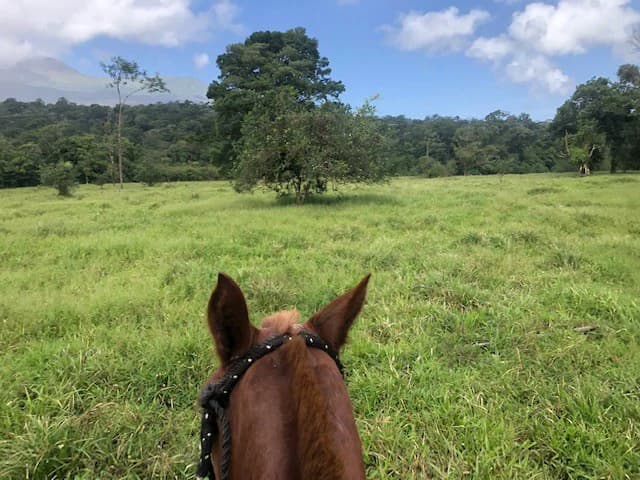 Hot and Cold Thermal Springs for Sale – Beautiful Property in Dos Ríos, Alajuela with Excellent Commercial Potential - photo 54