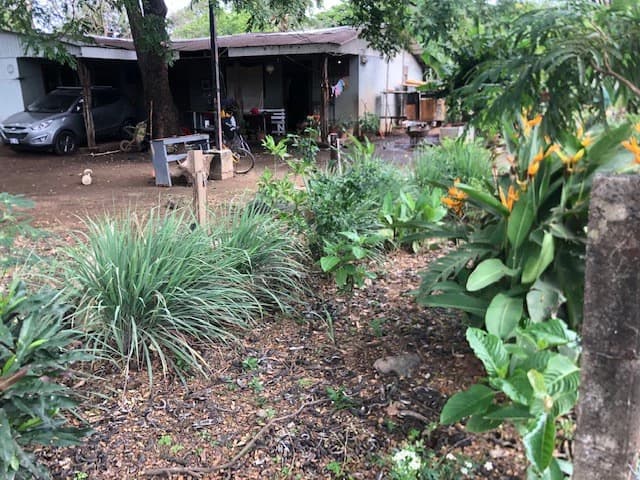 Great Opportunity - Commercial Property in Coco Beach - photo 4